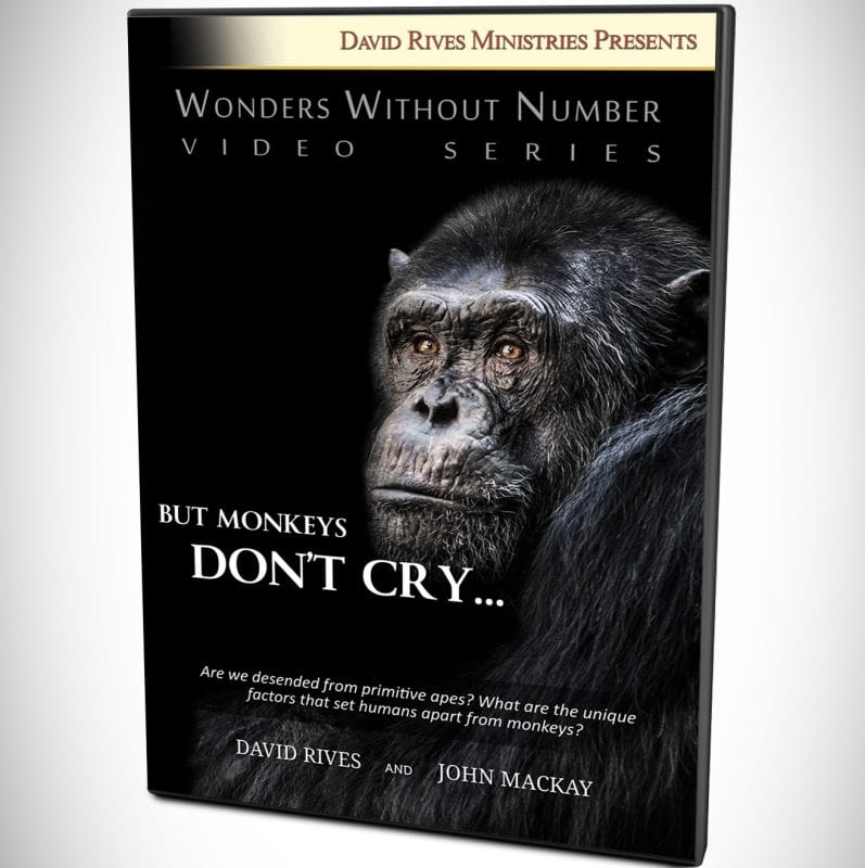 But Monkeys Don't Cry DVD