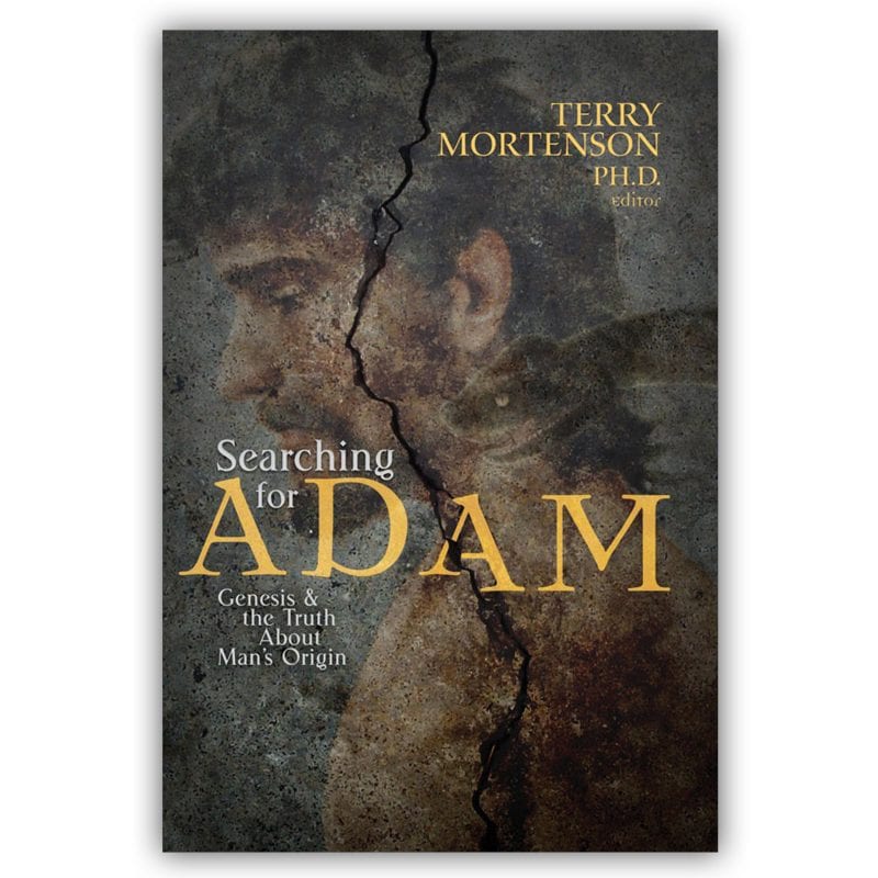 Searching For Adam Book