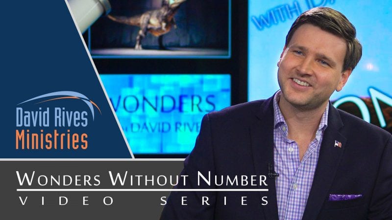 Wonders Without Number Video Series