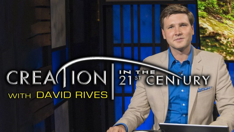 David with Creation in the 21st Century logo